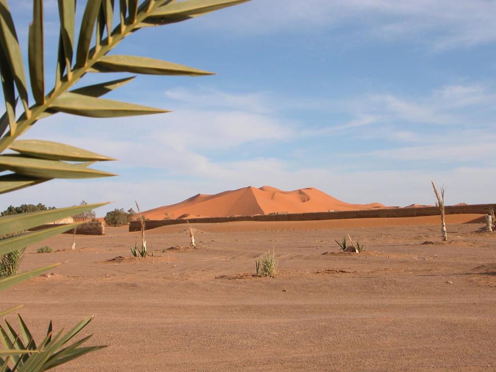 Auberge Africa Merzuga Kültér fotó