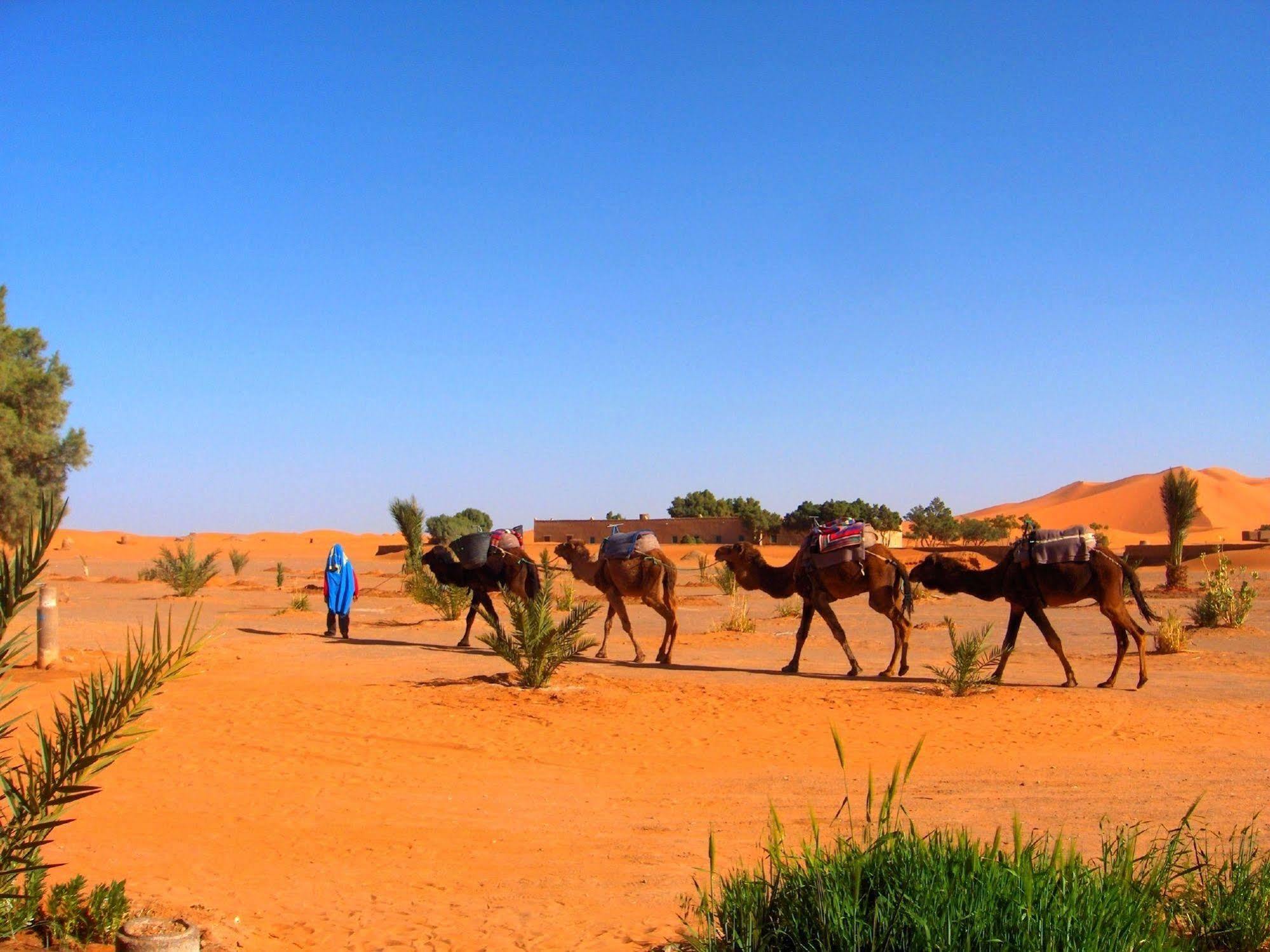 Auberge Africa Merzuga Kültér fotó